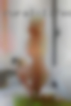 Websites girls Hobbs